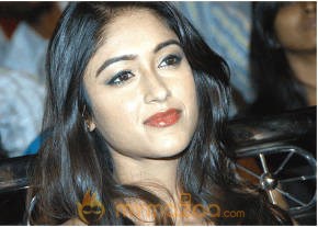 Ileana Hot Photshoot photo 270