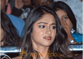 Ileana Hot Photshoot photo 508