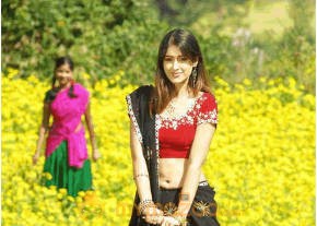 Ileana Hot Photshoot photo 330