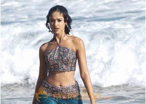 Ileana Hot Photshoot photo 313