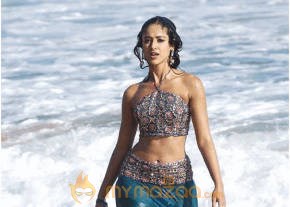 Ileana Hot Photshoot photo 190