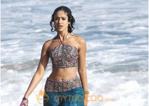 Ileana Hot Photshoot photo 512