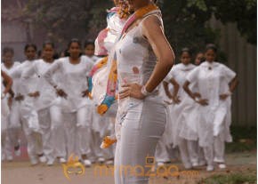 Ileana Hot Photshoot photo 542