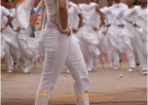 Ileana Hot Photshoot photo 265