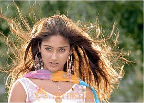 Ileana Hot Photshoot photo 130
