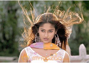 Ileana Hot Photshoot photo 410