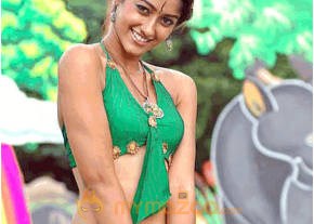 Ileana Hot Photshoot photo 86