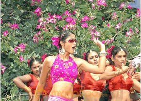 Ileana Hot Photshoot photo 325