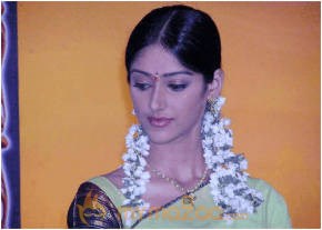 Ileana Hot Photshoot photo 274