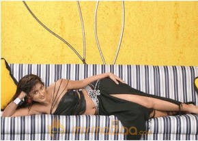 Ileana Hot Photshoot photo 550