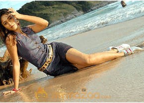 Ileana Hot Photshoot photo 558