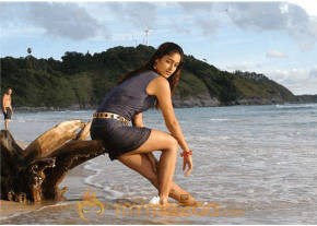 Ileana Hot Photshoot photo 281