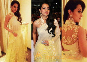 Indian beauties In Traditional Avatar photo 11