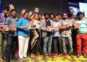  Jyothi Lakshmi Movie Audio Launch  photo 9