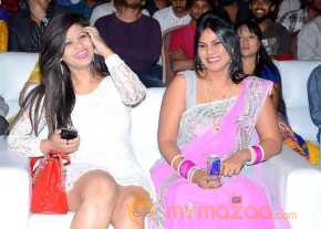  Jyothi Lakshmi Movie Audio Launch  photo 10