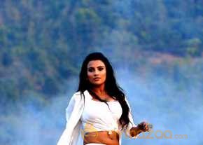 Jyoti Sethi Where Is Vidya Balan Movie Stills