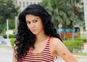 Kamna Jethmalani Veediki Dookudekkuva Movie Stills photo 10