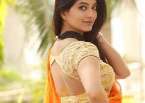  Kashmira Kulkarni Saree Stills  photo 5