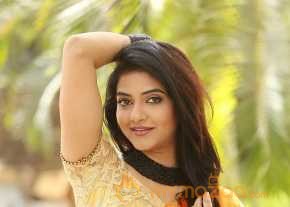  Kashmira Kulkarni Saree Stills  photo 9