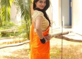  Kashmira Kulkarni Saree Stills  photo 6