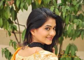  Kashmira Kulkarni Saree Stills  photo 13