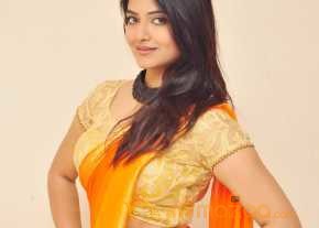  Kashmira Kulkarni Saree Stills  photo 15