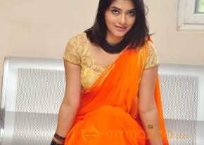 Kashmira Kulkarni Saree Stills  photo 7