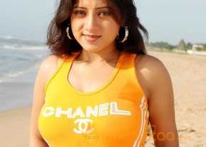  Keerthi Chawla  photo 11
