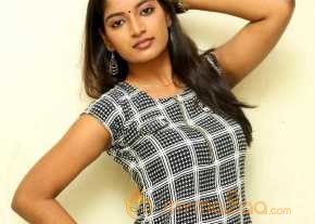  Keerthi Chowdary TLLILKBL Press Meet Stills  photo 4