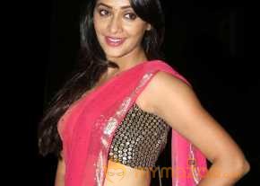  Kesha Khambhati Beautiful Pink Saree Pics  photo 3