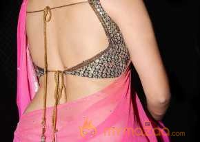 Kesha Khambhati Beautiful Pink Saree Pics
