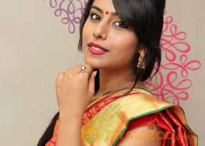 Khenisha Chandran Wearing Kanchivaram Collections