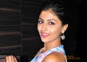  Kruthika Jayakumar Latest Photos  photo 9