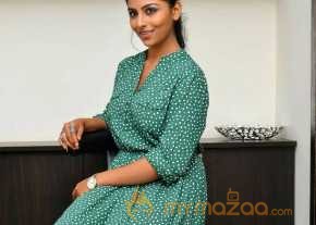  Kruthika Jayakumar Latest Photos  photo 5