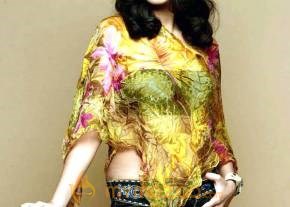 Lakshmi Rai Hot and Spicy Gallery photo 127