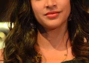 Lavanya Tripathi at Pelli Choopulu Audio Launch photo 16