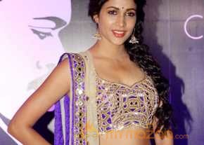 Lavanya Tripathi Photoshoot At Chiranjeevi 60th Birthday photo 8