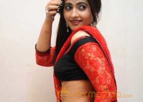  Lezlie Black Red Half Saree Stills  photo 2