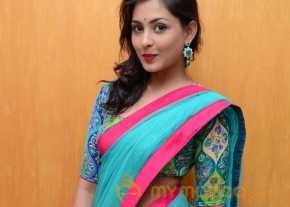  Madhu Shalini In Half Saree Photos  photo 13