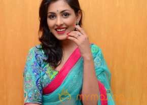  Madhu Shalini In Half Saree Photos 
