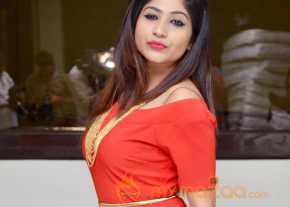 Madhulagna Das Photoshoot At Chori Poster Launch