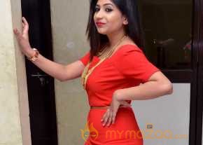 Madhulagna Das Photoshoot At Chori Poster Launch photo 5