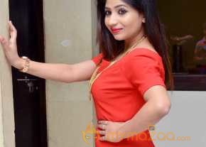 Madhulagna Das Photoshoot At Chori Poster Launch photo 6