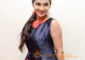 Madhumitha Photoshoot At Bhale Bhale Magadivoy Success Meet  photo 5