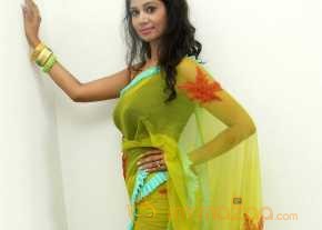 Mahekhanita Murthy Green Saree Pics photo 10
