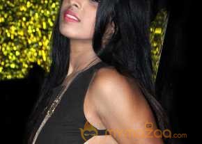 Manisha Pillai Latest Stills photo 11