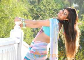 Meera Chopra  photo 8