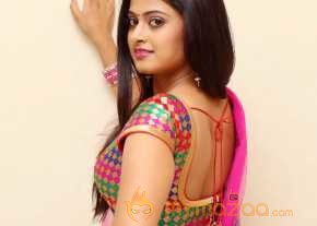 Megha Shree Saree Stills photo 6