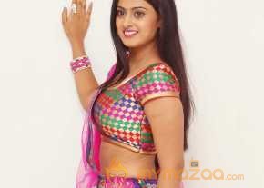 Megha Shree Saree Stills photo 5