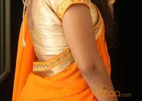 Midhuna Saree Stills  photo 5